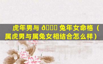虎年男与 🐞 兔年女命格（属虎男与属兔女相结合怎么样）